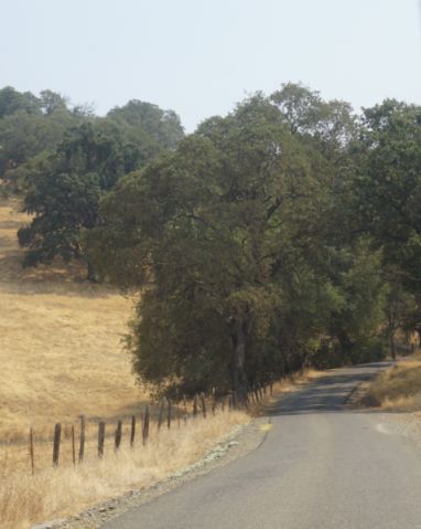 [Picture of Turner Road 3]